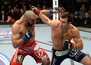 fight