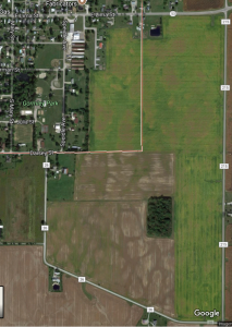 Tree Town Trot Route