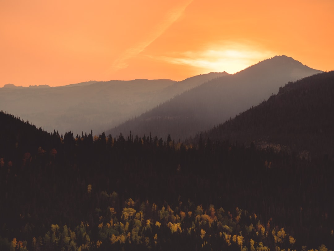 Power Apps: So, About That 'Expand' Function with Dataverse Offline First Mode.... Photo by JJ Shev on Unsplash
