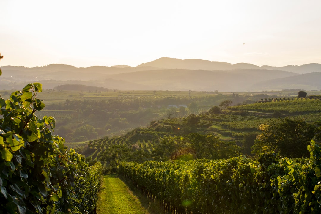 Being there. Photo by Jakob on Unsplash