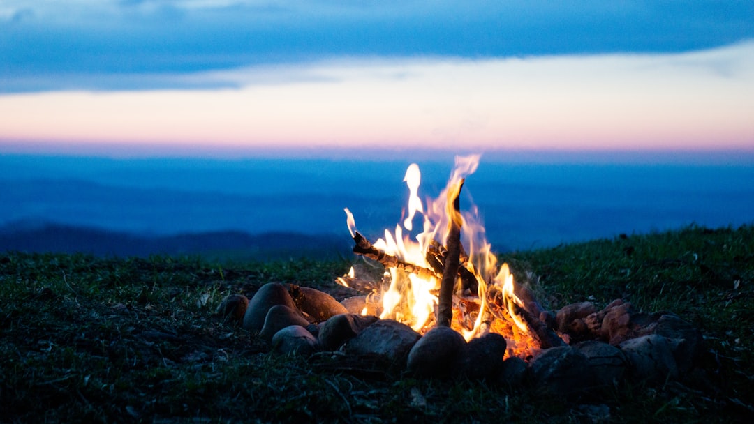 Cook kits, a podcast, a book & motivation. Photo from Unsplash