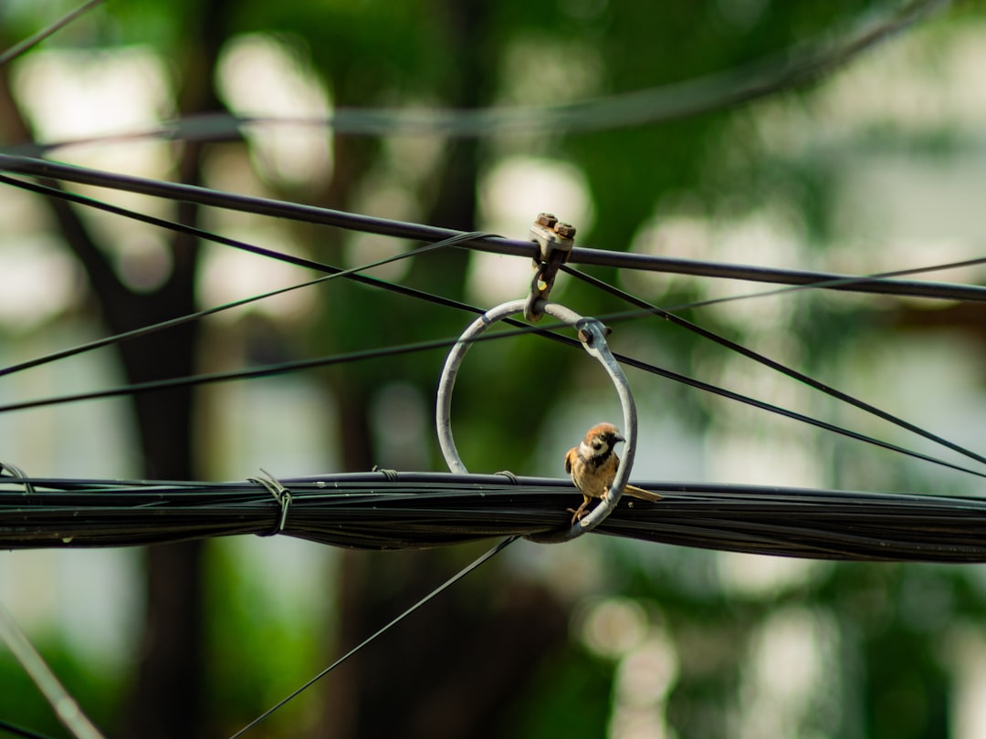 Experiment with a hammock. Photo from Unsplash