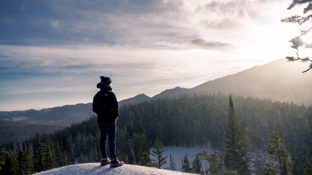 February… from the rear view mirror. Photo by James Harrison on Unsplash