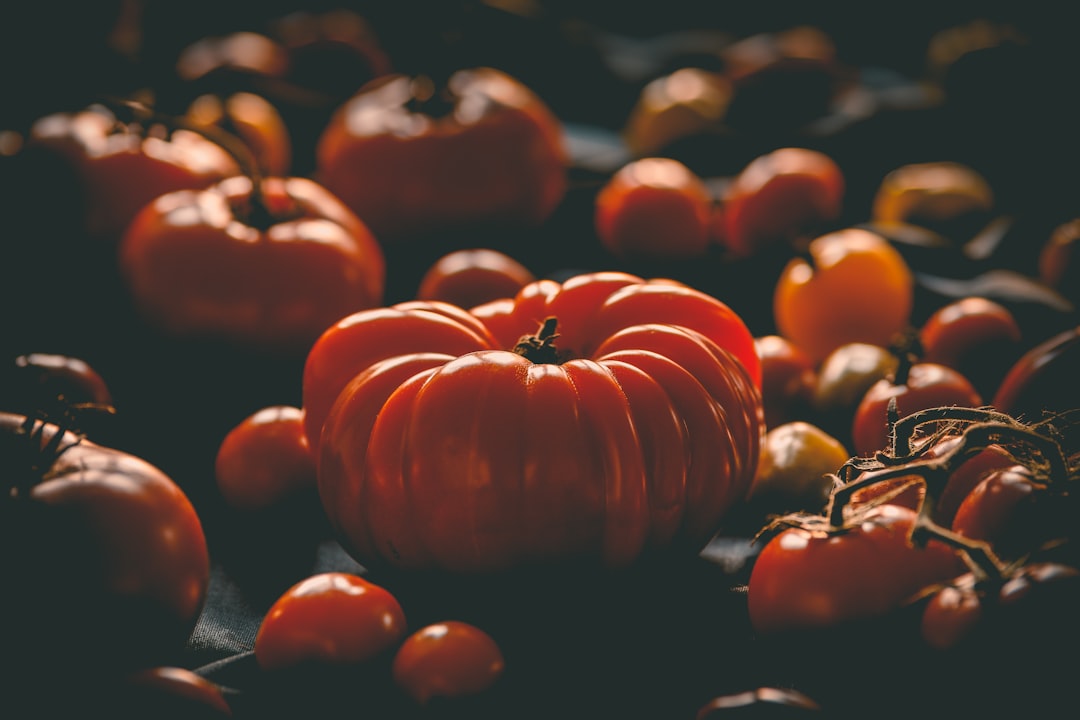 Gratitude for setbacks. Photo from Unsplash