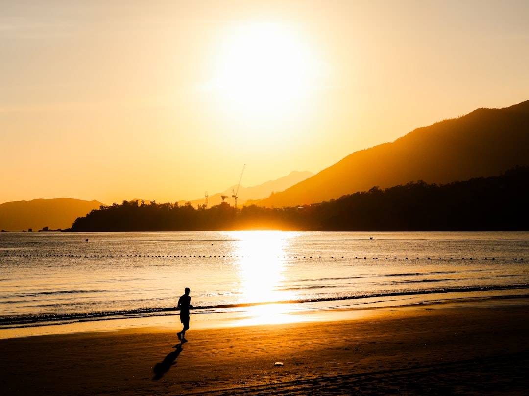 Gratitude for the now. Photo by B C on Unsplash