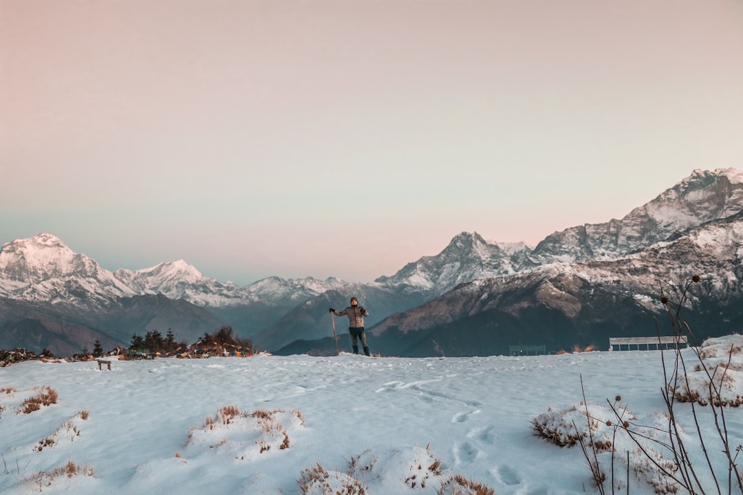 It begins. Photo from Unsplash