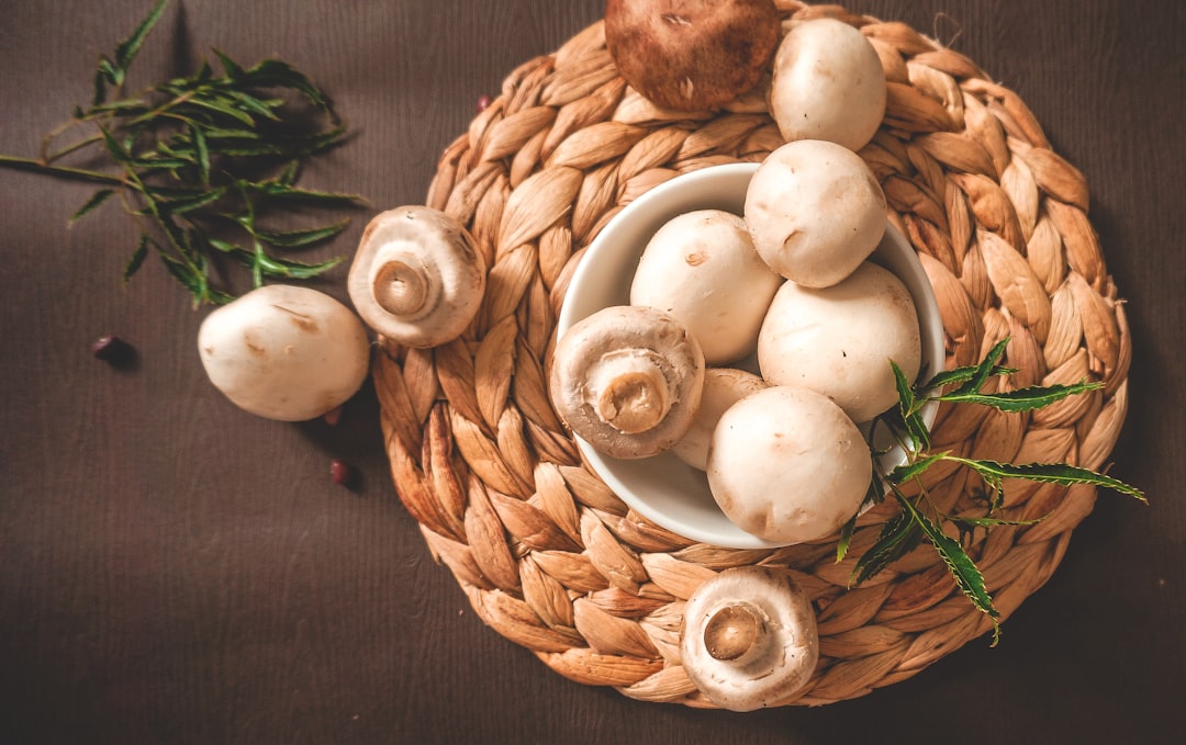Potage aux champignons, Île de France. Photo from Unsplash