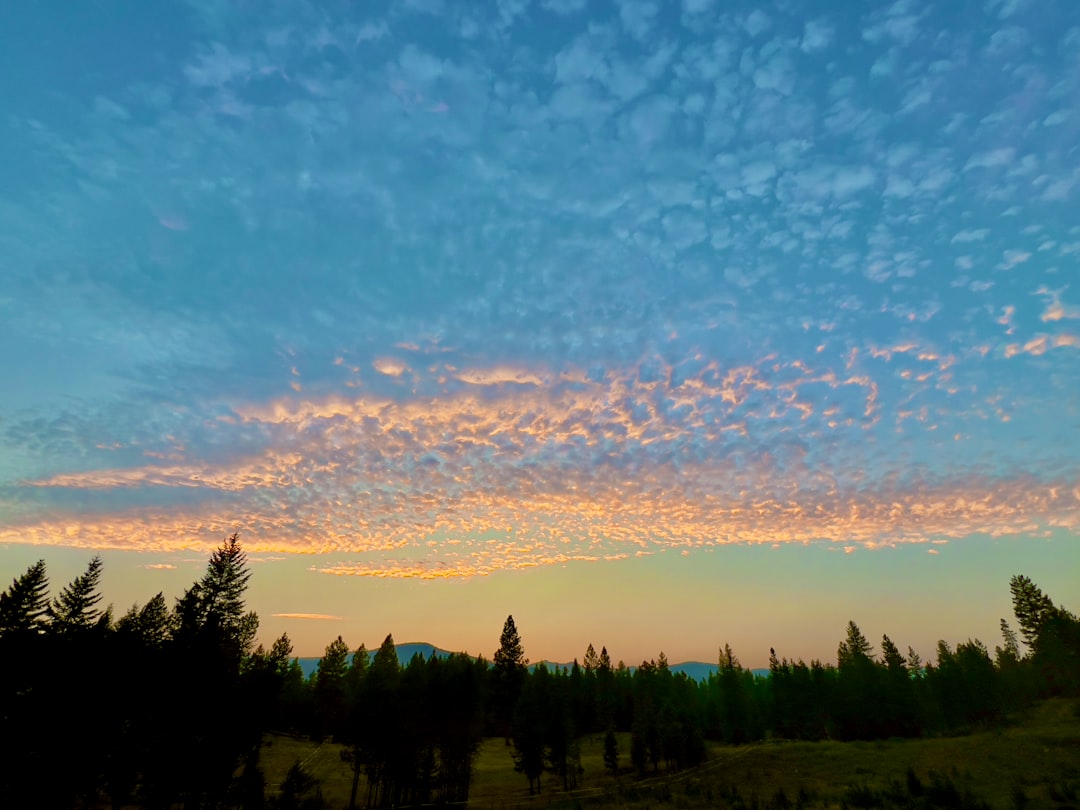 Power Apps Test Studio: Some Hard Observations. Photo by Troy Olson on Unsplash