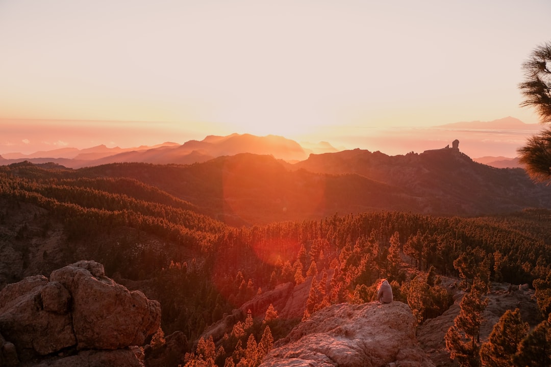 There is nothing to fear except fear itself. Photo by Adam Wilson on Unsplash